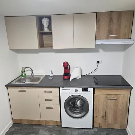 Ionica Marius Ionut *