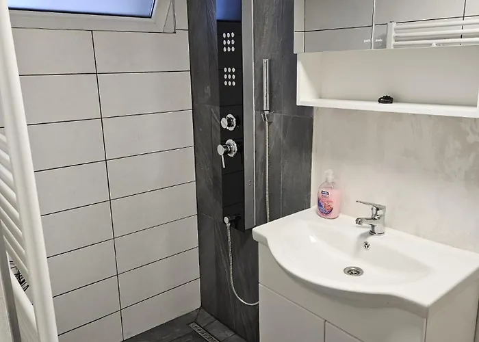 Ionica Marius Ionut Apartman *