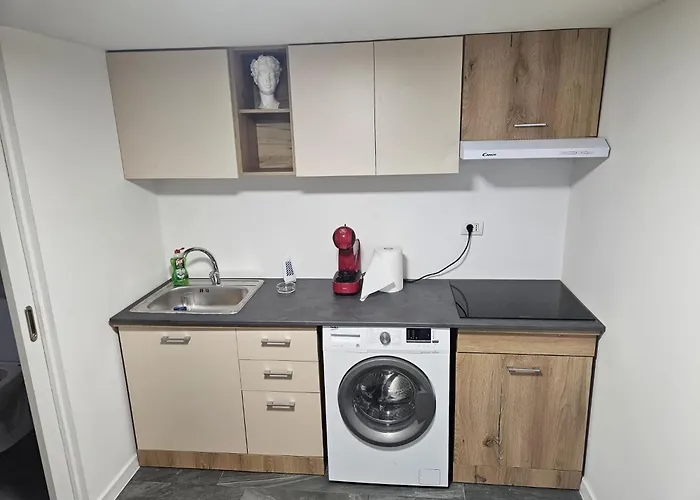 Ionica Marius Ionut *